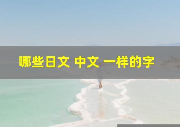 哪些日文 中文 一样的字